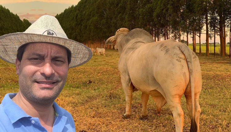 Álvaro de Oliveira Lima com gado brahman ao fundo