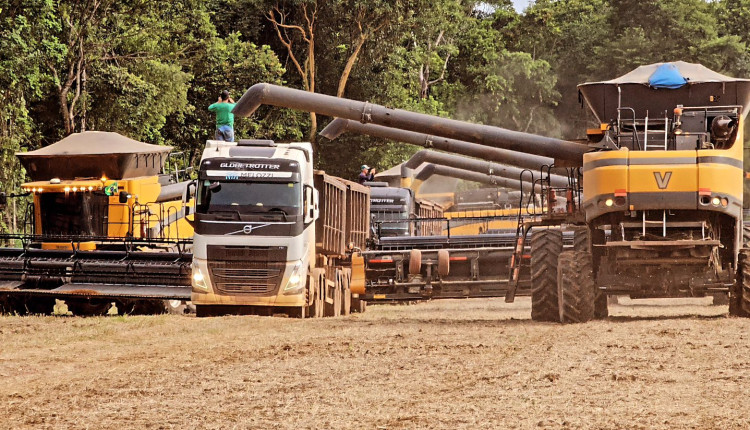 Colheita de soja no mato grosso - valtra - caminhao - fotao top