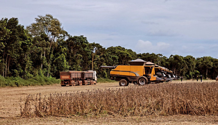 Colheita de soja no mato grosso - valtra - talhao de soja - fotao top