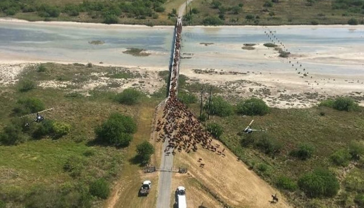 maior fazenda dos estados unidos