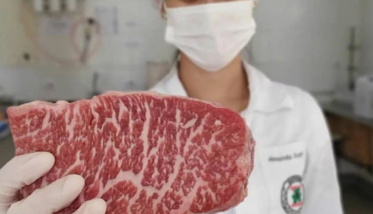 melhor marca de carne