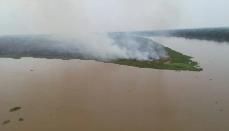 incêndio no pantanal