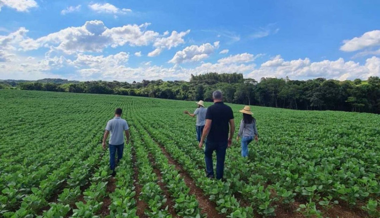 Linha revolucionária da Fertsan ganha o biomodulador fisiológico FT Poly Campo, destinado ao cultivo da soja