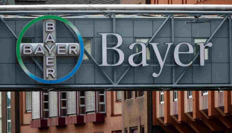 bayer