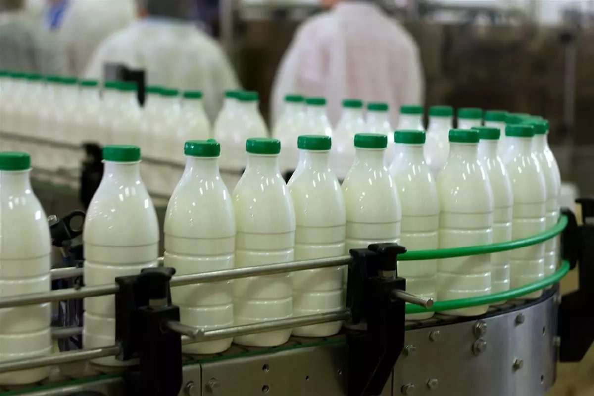 Apesar das restrições, as importações de lácteos continuam a crescer