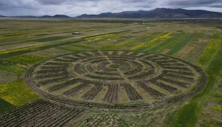 Como os sistemas de irrigação andinos podem enfrentar a crise climática