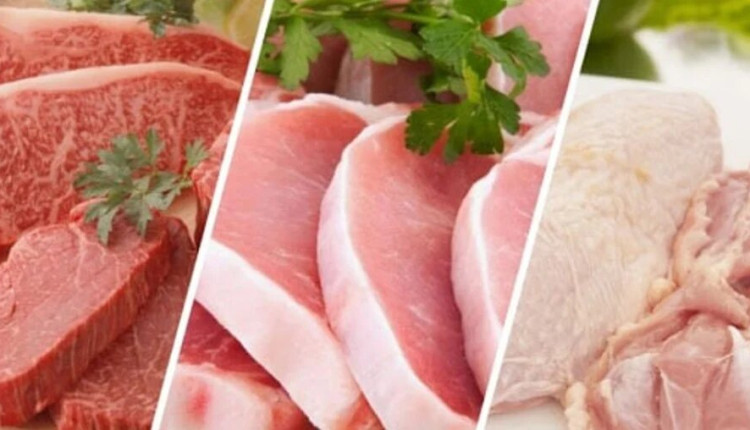 Brasil vai exportar 12,8 milhões de t de carnes em 2033