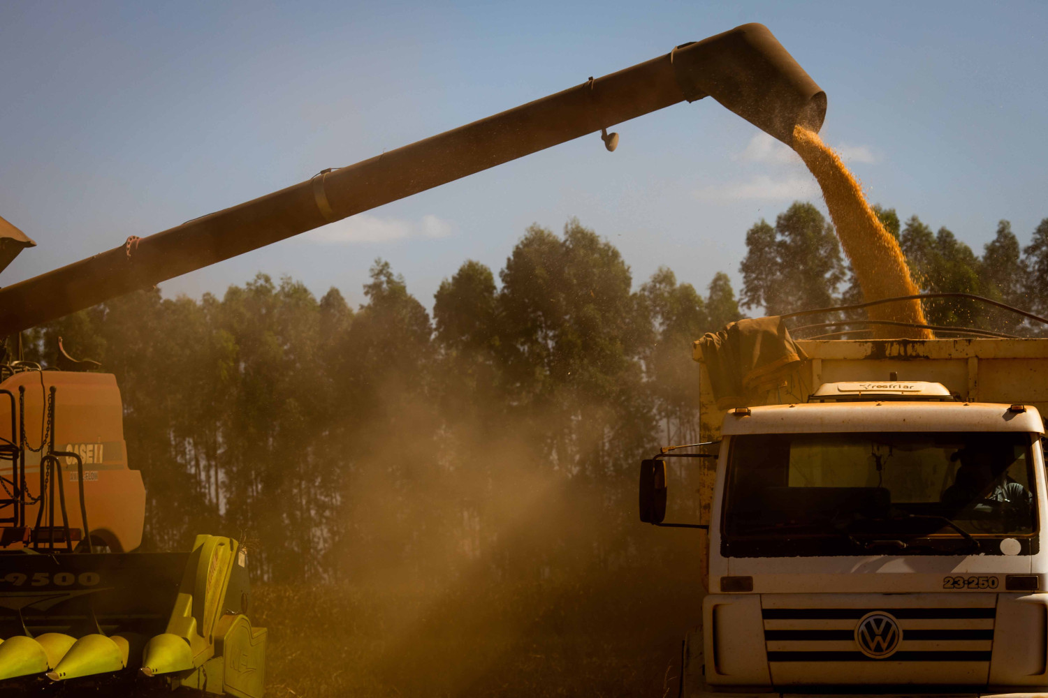 Além dos produtores de milho, o anúncio do plano para renegociação de parcelas de operações de crédito rural de investimento contempla produtores de soja, pecuária bovina e leite. (Divulgação CNA)