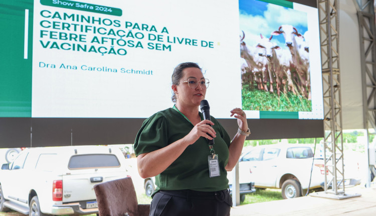 Palestra trata da certificação de MT como livre de aftosa sem vacinação