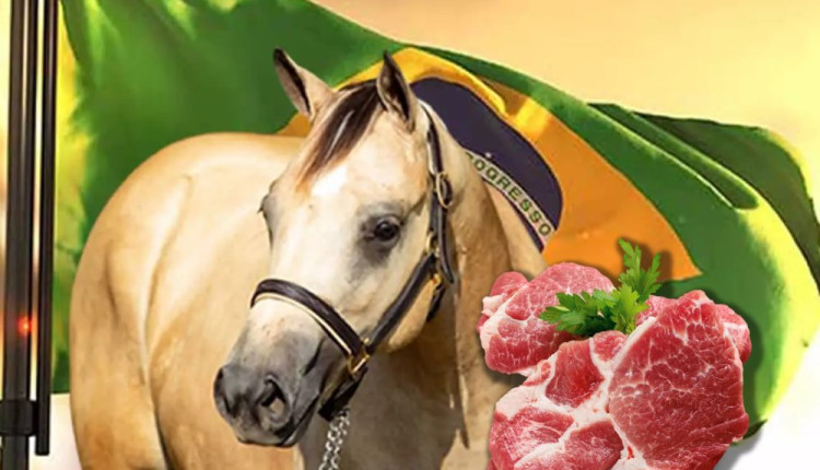 pode comer carne de cavalo