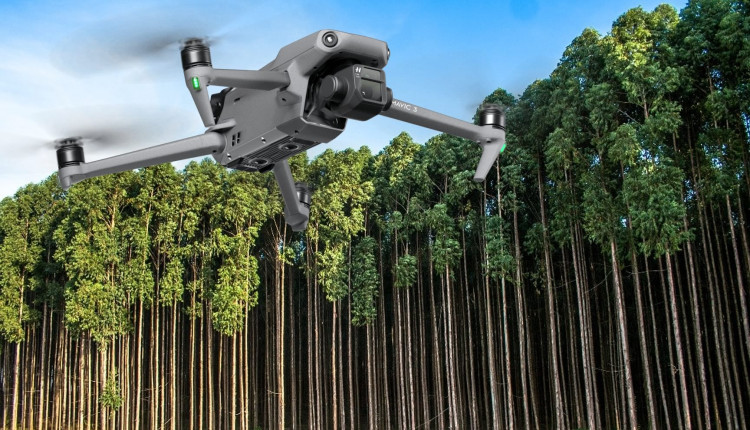 Drone - o novo aliado da industria florestal no combate plantas daninhas