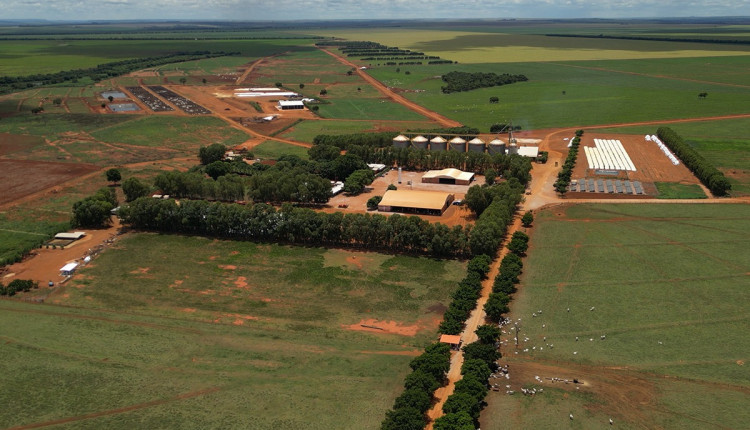 Produtividade e sustentabilidade na pratica - Dia de campo na fazenda Santa Maria - da agropecuaria Cutolo