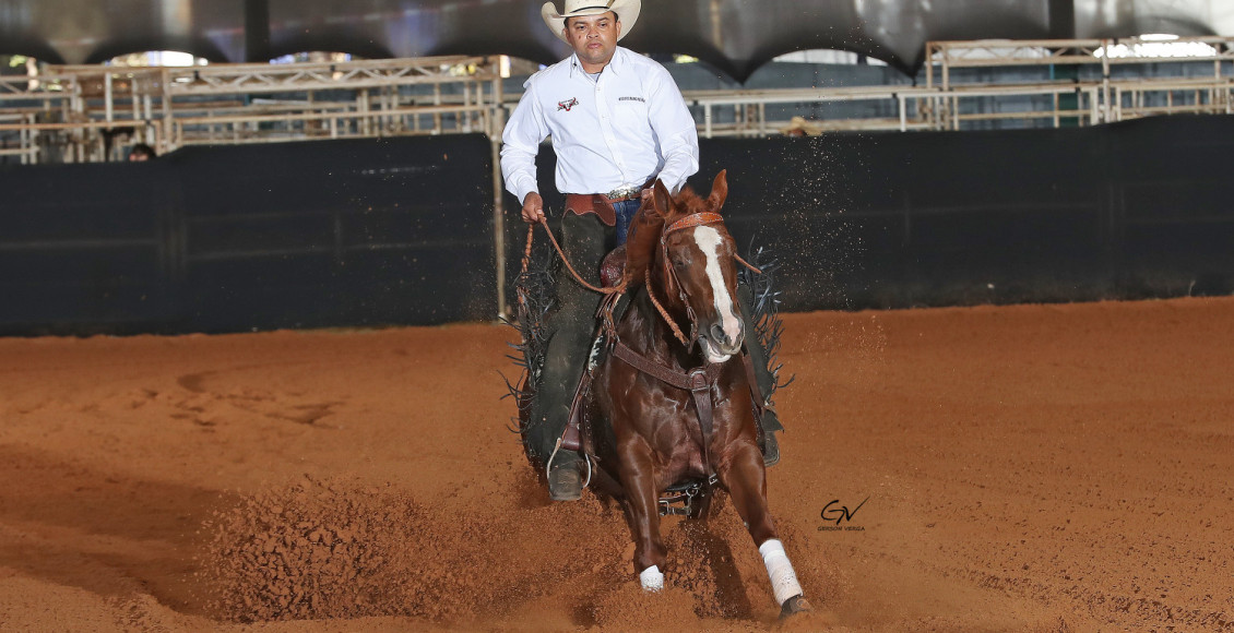 André Sampaio: Uma vida dedicada ao mundo dos cavalos