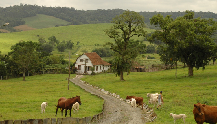 diferença entre sítio chácara e fazenda