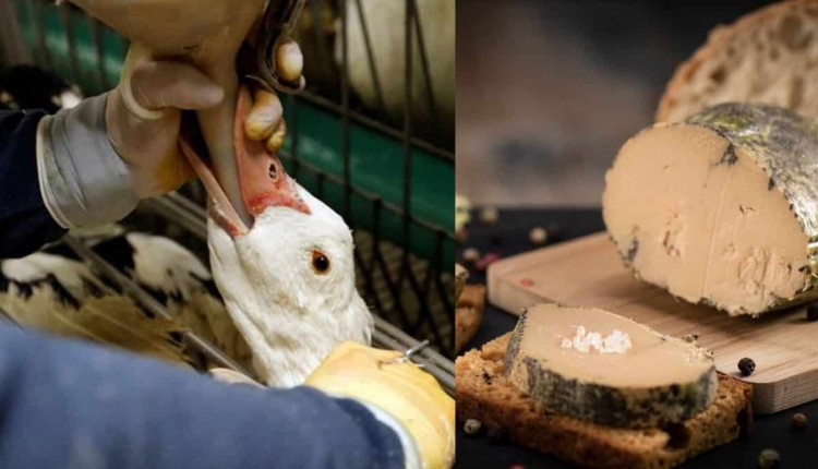 foie gras