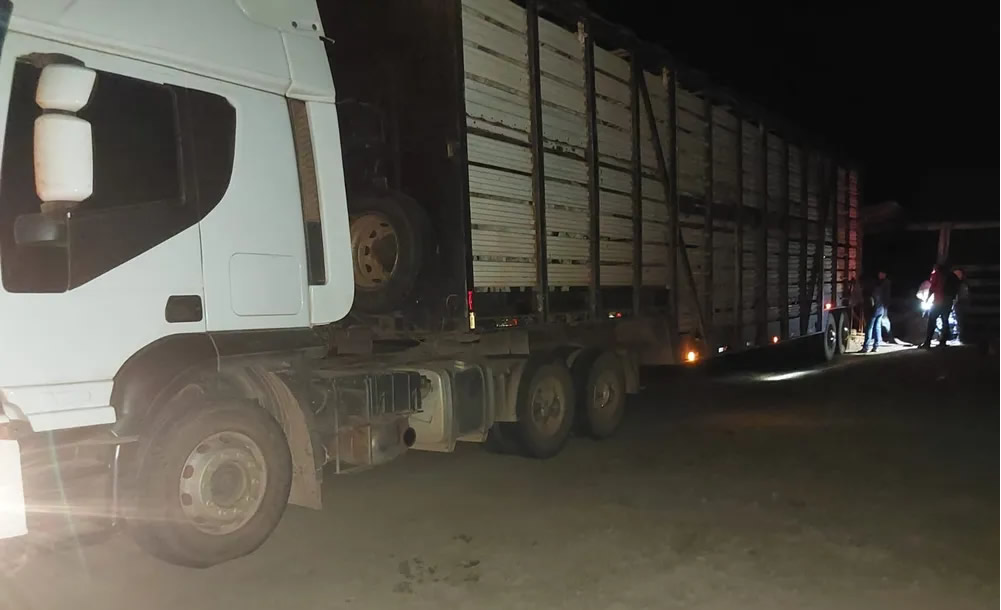caminhao roubado pra carregar gado
