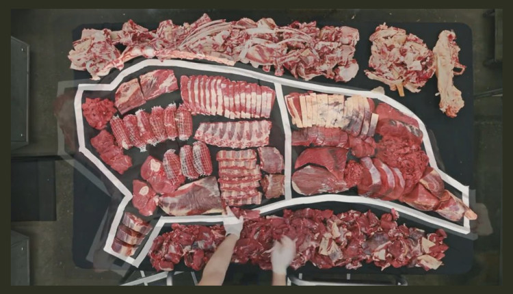 cortes de carne completo de um bovino