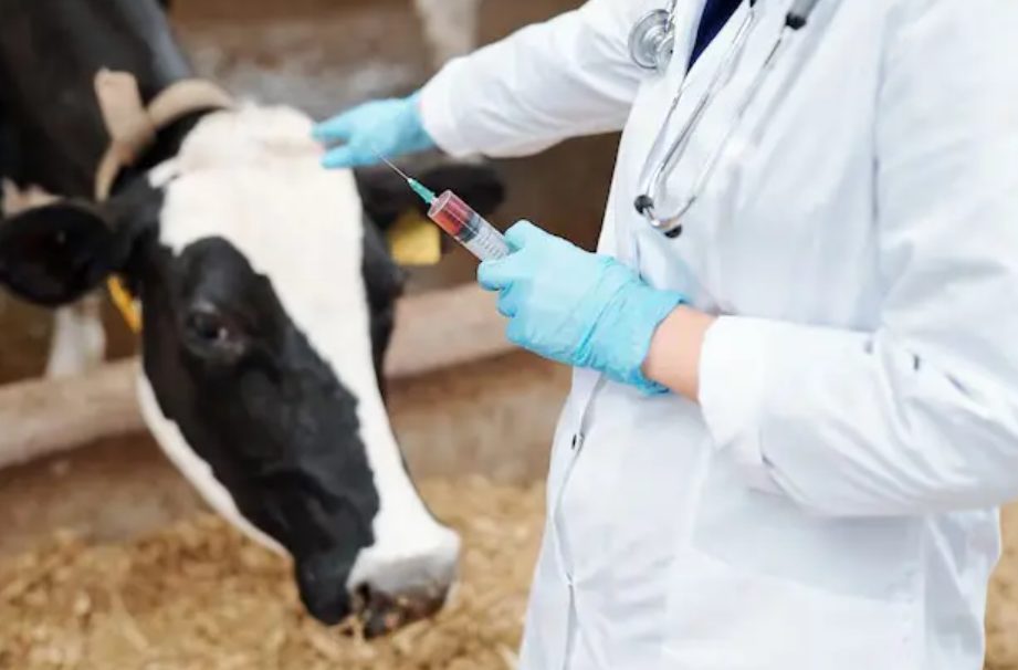 As carreiras do futuro no campo: conheça 8 graduações em alta no agro