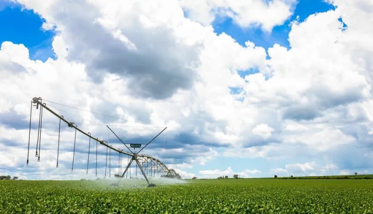 Brasil possui 8,2 milhões de hectares de área irrigada — Foto: Wenderson Araujo/Trlix/CNA