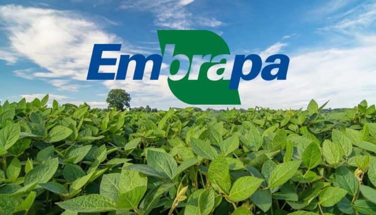 Concurso da Embrapa