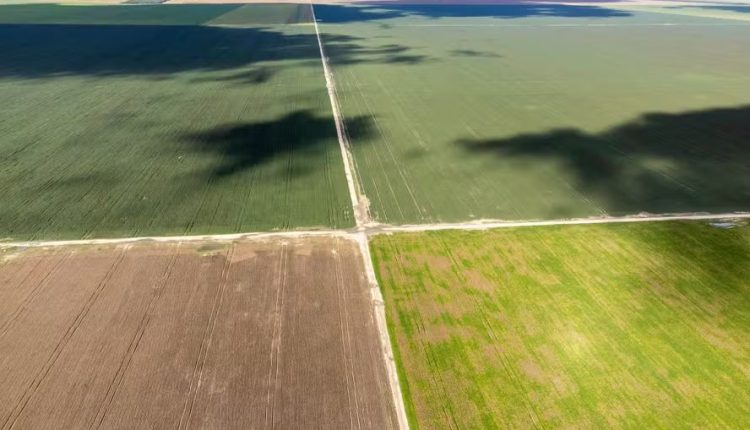 Fazenda Chaparral, em Correntina (BA), foi adquirida pela BrasilAgro em novembro de 2007, e possuía uma área total de 37.182 hectares — Foto: Divulgação