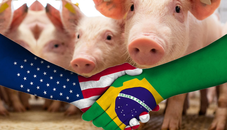 produtores de suinos dos estados unidos visitam o brasil