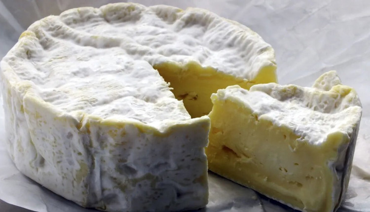 Camembert: o queijo favorito da França enfrenta uma crise de “extinção”