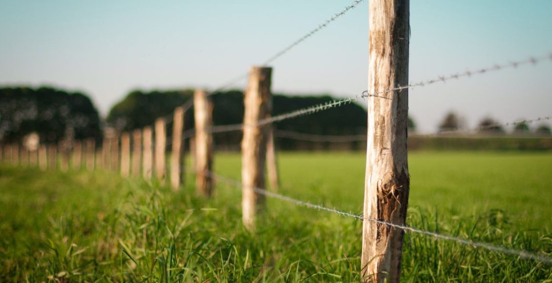 Cerca - terras agricolas