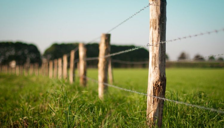 Cerca - terras agricolas