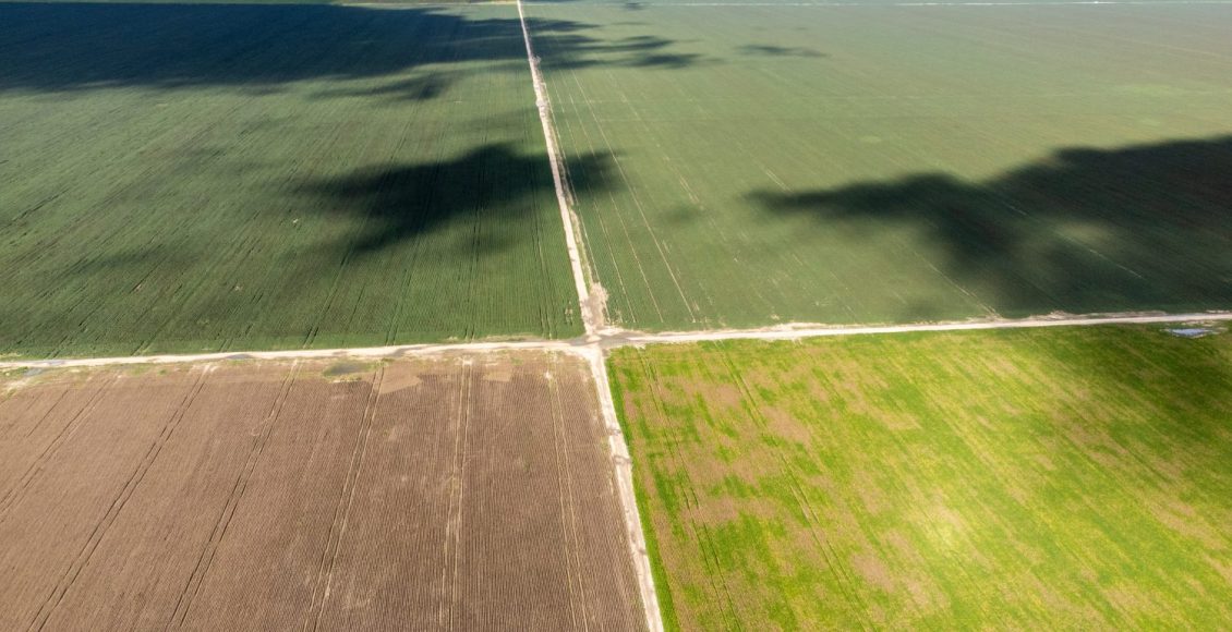 FAZENDA-CHAPARRAL-BRASILAGRO-DIVULGACAO-38