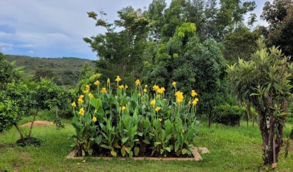 Fossas ecológicas Tevap