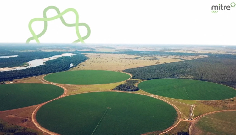 Elisa Agro é uma das maiores empresas de agricultura irrigada do país