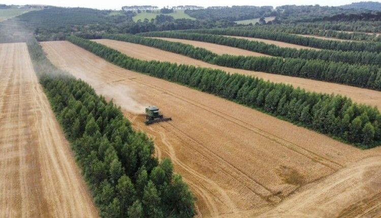 fazenda integrada