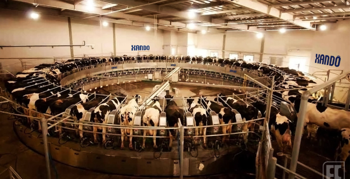 Fazenda Colorado, maior produtora de leite