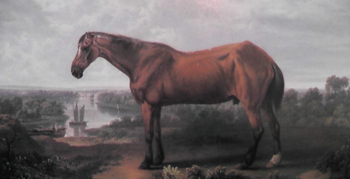 cavalo mais velho do mundo