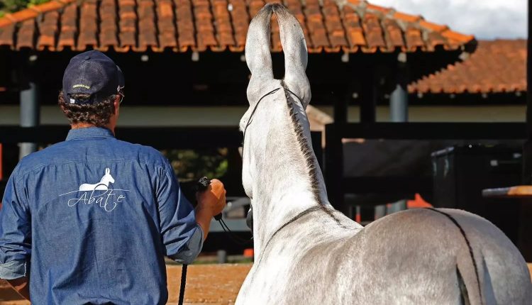 Conheça o Rei dos Jumentos - rancho abate fernando