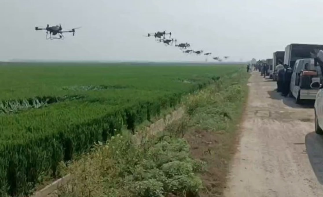 exercito de drones na china em lavoura de milho