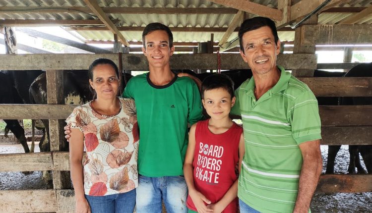 familia adota girolando no mato grosso