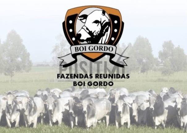 Fazendas Reunidas Boi Gordo