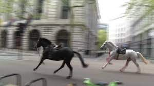 Vídeo mostra cavalos soltos causando tumulto e ferimentos no centro de Londres