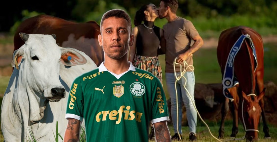 Jogador Marcos Rocha investe em Mangalarga Marchador e gado Nelore