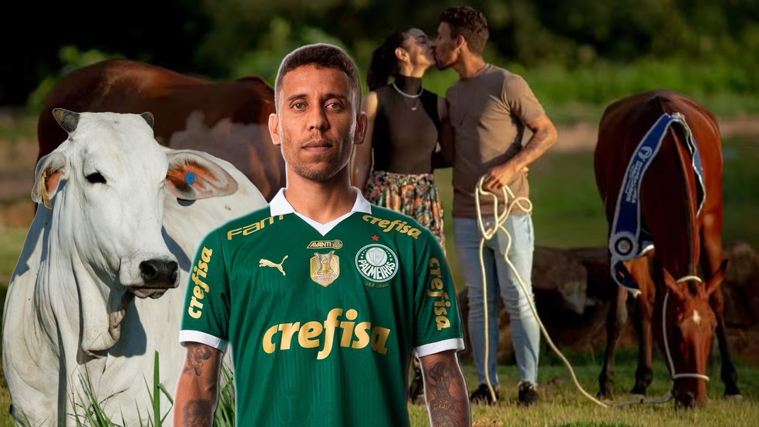 Jogador Marcos Rocha investe em Mangalarga Marchador e gado Nelore
