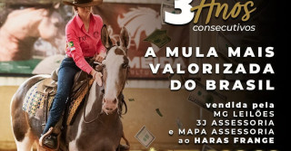 mula mais cara do brasil