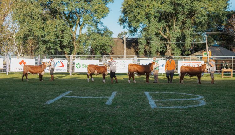 Nacional Hereford e Braford - Crédito Fábio Quadros Divulgação