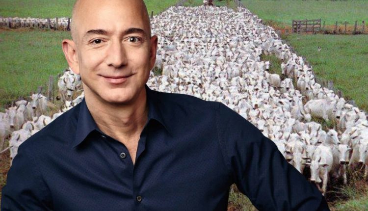 jeff bezos e pecuária