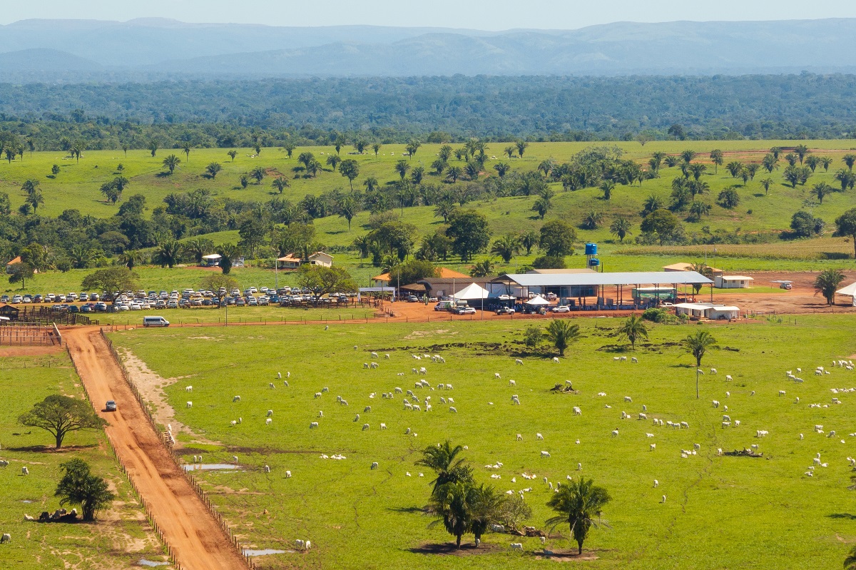 Conheca a fazenda que apostou na inovacao para multiplicar por 10 a sua produtividade - Grupo Agrolina