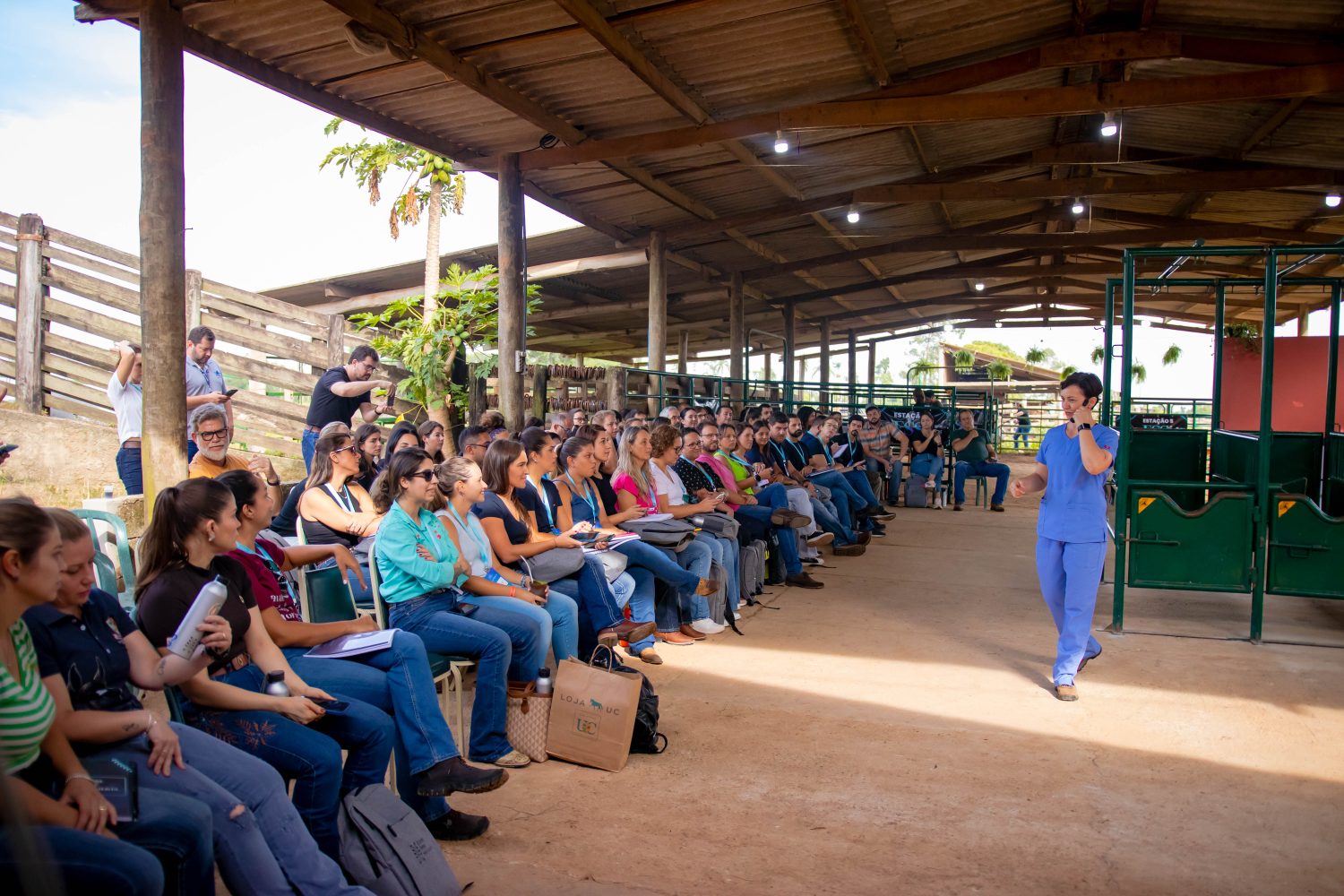 Médica veterinária brasileira é uma das maiores referências em coluna vertebral equina do mundo