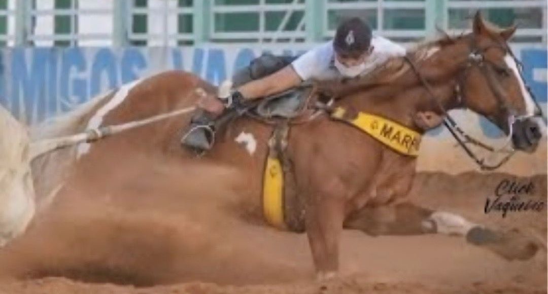 cavalo Marreta