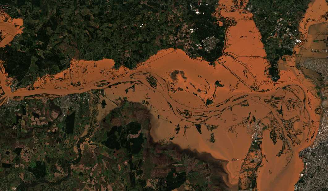 Perdas na soja do Rio Grande do Sul chegam a 2,4 milhões de toneladas