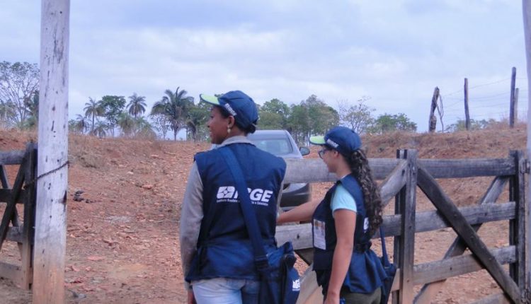 IBGE anuncia avanços tecnológicos no Censo Agropecuário durante a Agrishow